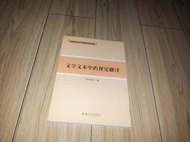 东吴外国语言文学文库-文学文本中的视觉翻译