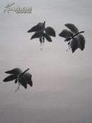 张立辰花鸟画《荷花蜻蜓》中堂