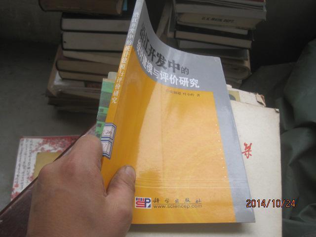 沿江开发中的统计建模与评论研究  98257