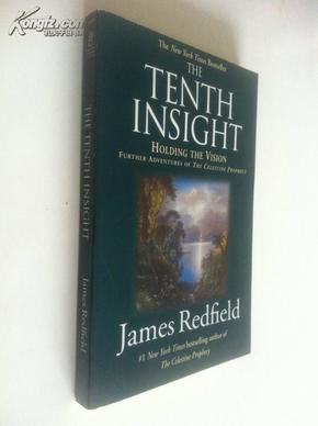 The Tenth Insight：Holding the Vision【第十种洞察力，詹姆斯·莱德菲尔德，英文原版】