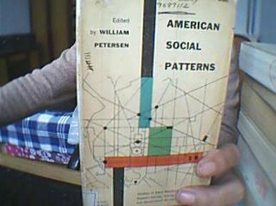 American Social Patterns 美国社会结构