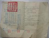 1953年浙江省鄞县初级师范成绩单