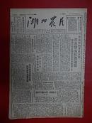 1949年10月18日【湖北农民】