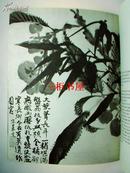 1961年限量版, 张大千收藏展: 八大山人,石涛, 法国展览图录/石涛画集/八大山人画集