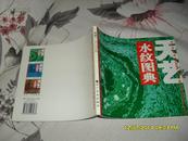 天艺·水纹图典（85品2001年1版1印3000册100页20开铜版纸彩印）26711