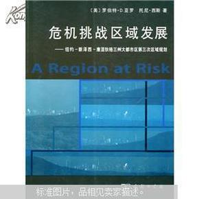 危机挑战区域发展：纽约、新泽西、康涅狄格三州大都市区第三次区域规划