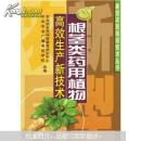 根莖類藥用植物高效生產(chǎn)新技術(前封皮褶皺）