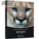 OS X Mountain Lion高手进阶