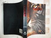 AN ENCYCLOPAEDIA OF TIGERS（虎典 英文版）印刷3000册