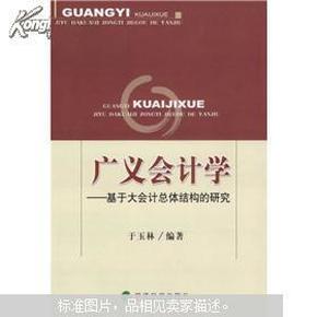 广义会计学：基于大会计总体结构的研究