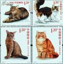 2013-17 猫