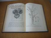ПАЛЕОБОТАНИКА  化石植物学  1957  插图本