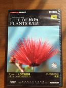 BBC  LIFEOF PLANTS 植物的私生活 成花