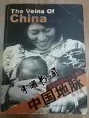 《中国地脉 南方卷》16开 2004年6月1版1印