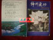 《神州气功》双月刊 中华气功杂志社版 1993年5期 私藏