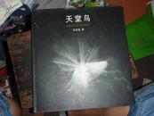 天堂鸟--张智富摄影作品集（12开精装摄影画册）