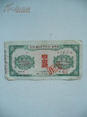 50年代 股金证