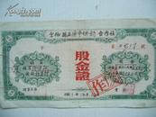 50年代 股金证