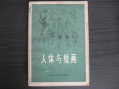 人体与绘画