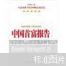 中国首富报告