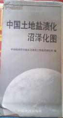 中国土地盐渍化沼泽化图【1：6000000】中国环境地质图系