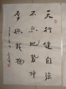 魏启后 三开——天行健 50cmX70cm