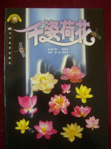 千姿花卉結(jié)構(gòu)寫真系列——千姿荷花