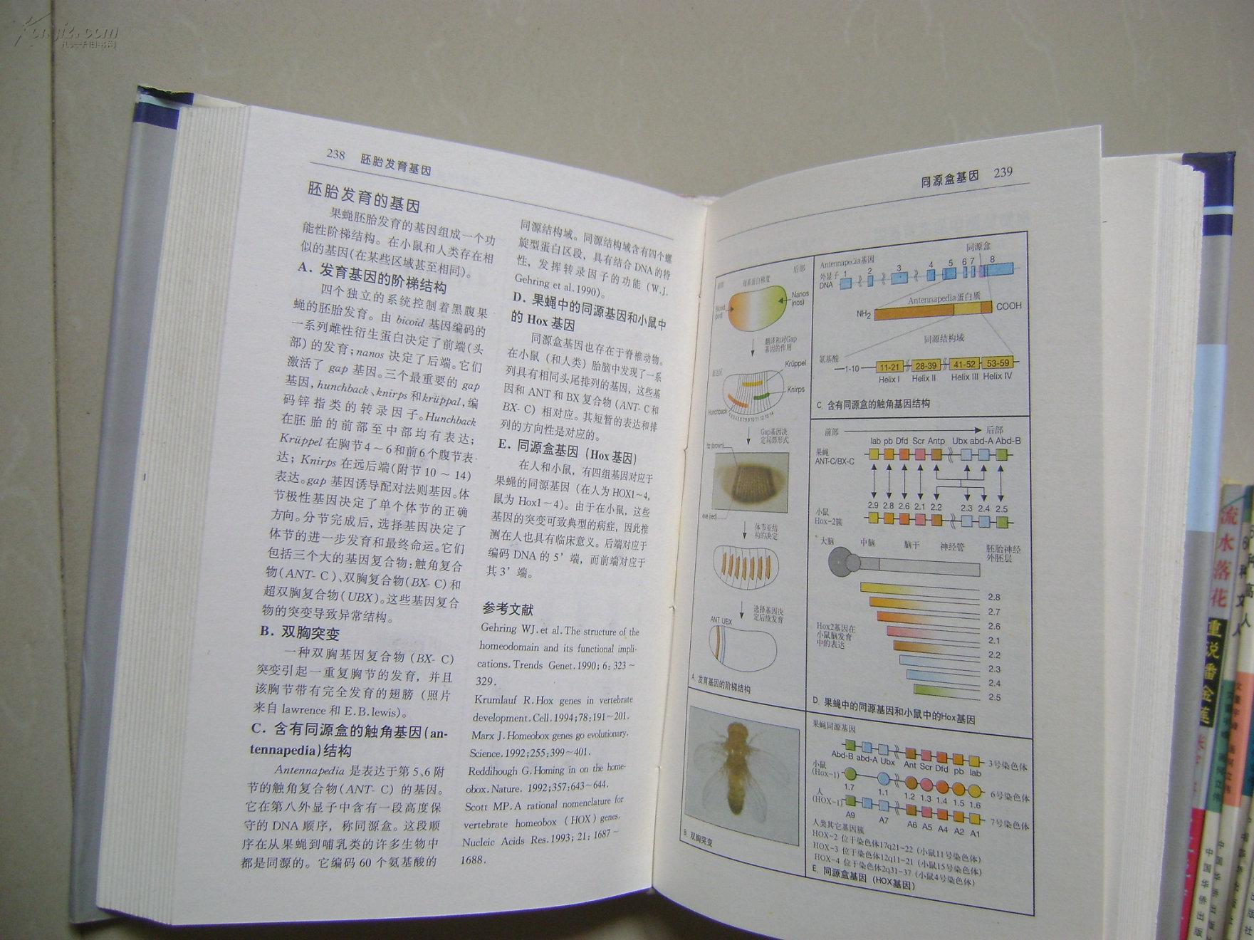 遗传学与医学遗传学彩色图解