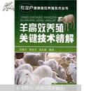 羊高效养殖关键技术精解