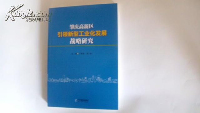 肇庆区引领新型工业化发展战略研究