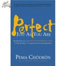 Perfect  Just as You Are 盒装CD有声书