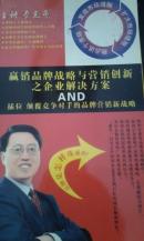 赢销品牌战略与营销创新之企业解决方案AND插位、颠覆竞争对手的品牌营销新战略（DVD光盘两碟完整版）李光斗主讲 包正版