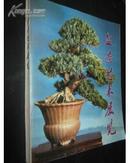 盆景艺术展览（为了庆祝中华人民共和国成立三十周年）画册