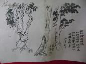26-55.石星课稿---梧桐杂树<保真>