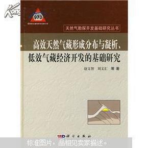 高效天然气形成分布与凝析、低效气藏经济开发的基础研究