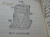 柑桔产地贮藏保鲜与商品化处理  、柑桔栽培【两本同售】