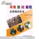 蘋果 梨 桃 葡萄套袋栽培技術(shù)