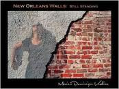 New Orleans Walls: Still Standing  新奥尔良墙