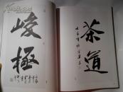 谢云生书法作品选