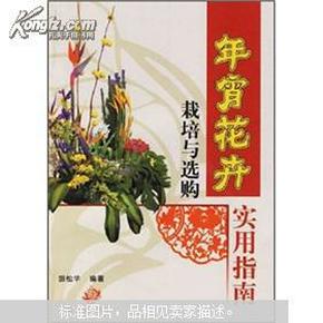 年宵花卉栽培与选购实用指南