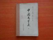 中国文学史（三）