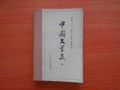 中国文学史（四）