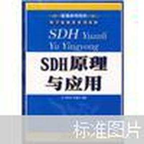 普通高等院校电子信息类系列教材：SDH原理与应用