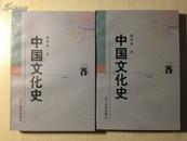 中国文化史 全二册（新世纪万有文库第二辑）   著名历史学家陈登原经典著作    绝版新书