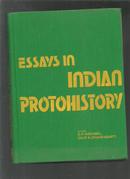 ESSAYS IN INDIAN PROTOHISTORY  在印度的史前时期的散文