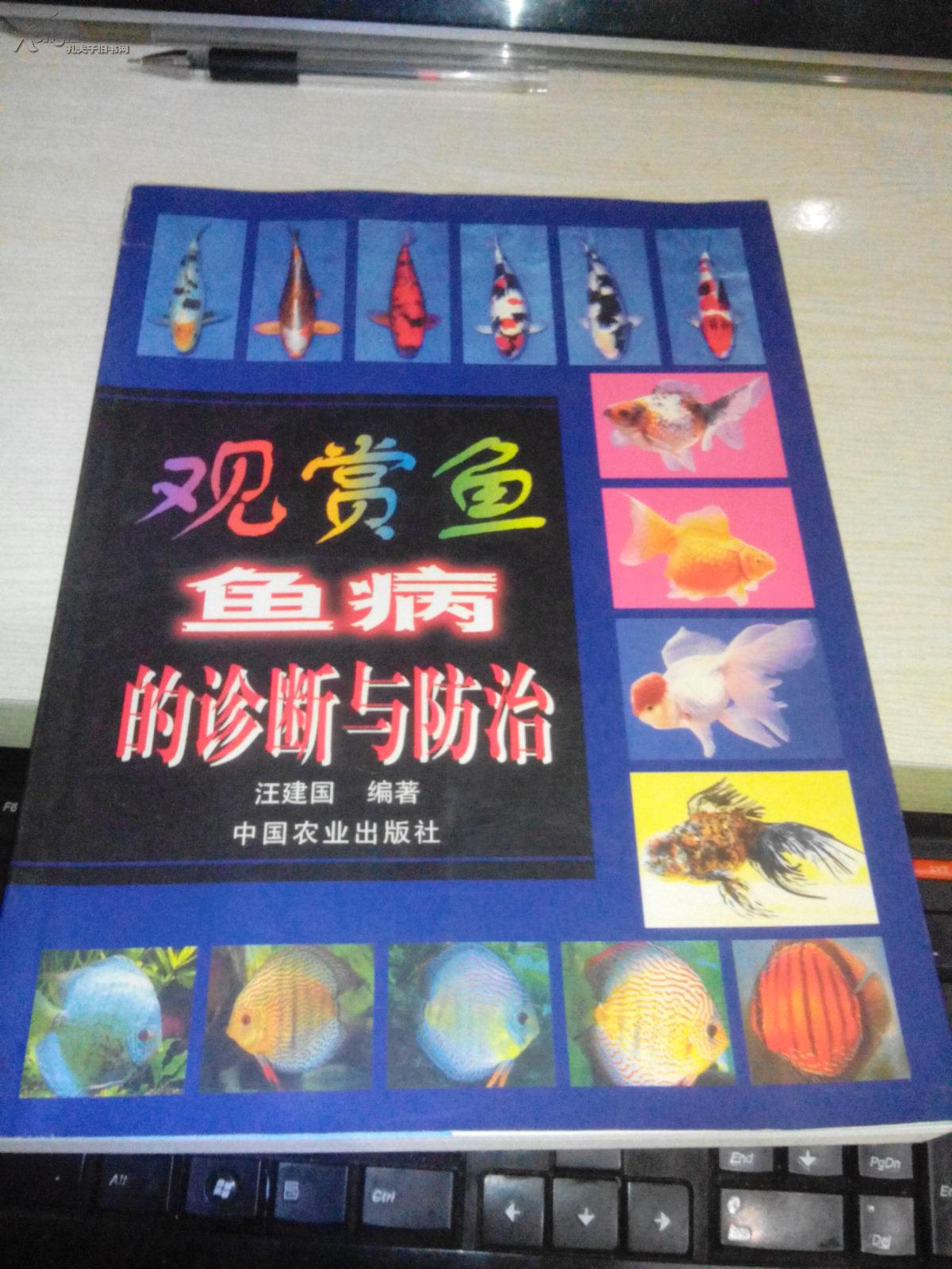 观赏鱼鱼病的诊断与防治【2001年一版一印6000册】全彩图版。