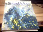 Microbiology: A Systems Approach [精装]
