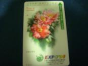 99年昆明世博园磁卡门票100元云南山茶花E10-3