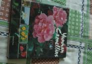 yunnan camellias  中国的云南茶花 蔡淑琴藏书之一