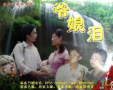 客家山歌剧：爷娘泪（客家山歌VCD）